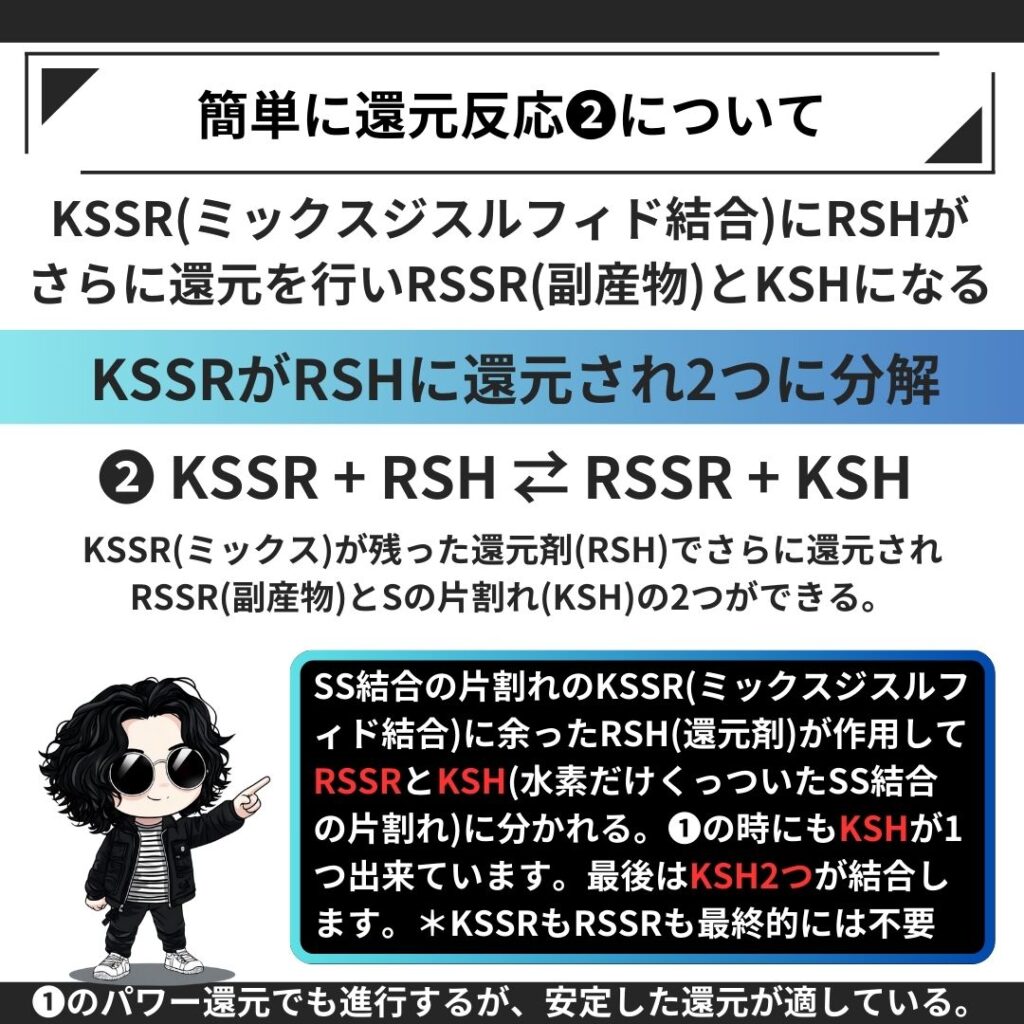 ❷KSSR + RSH ⇄ RSSR + KSHの反応について：ミックスジスルフィド結合が還元される