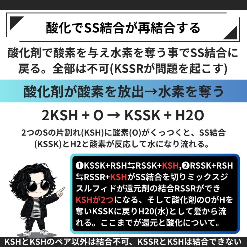 酸化反応 2KSH+ O → KSSK + H2O 2液により再結合