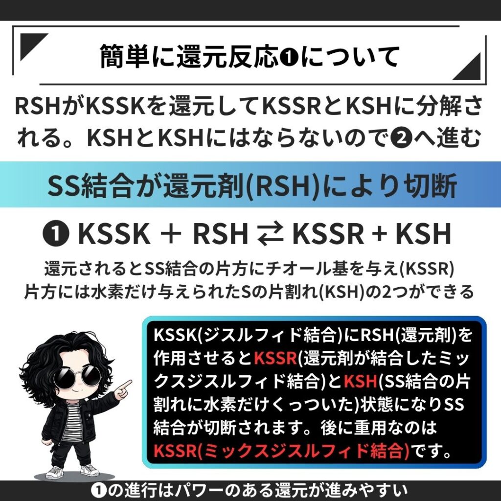 ❶KSSK + RSH ⇄ KSSR + KSHの反応について：ジスルフィド結合の還元が切れていく